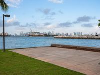 a view of a large body of water near the shore line of a city with tall buildings in the background