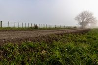 a dirt road next to a fence on a foggy day with a tree in the background