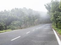 this is an image of a scenic road and the foggy area with trees and bushes