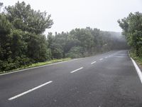 this is an image of a scenic road and the foggy area with trees and bushes