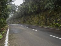 Foggy Day Tenerife Spain Landscape 001