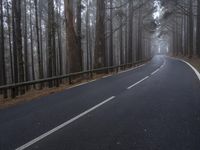 Foggy Forest Road Landscape Spain