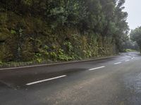 Foggy Forest Road in Tenerife, Spain