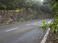 Foggy Forest in Tenerife, Spain