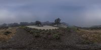 this is a photo of a foggy area on top of a hill near a house