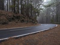 a paved road winds its way through pine and forest area with a winding road sign