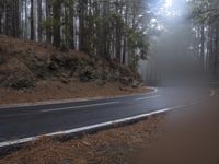 a paved road winds its way through pine and forest area with a winding road sign