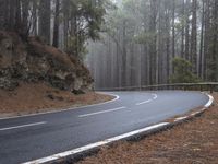 a paved road winds its way through pine and forest area with a winding road sign