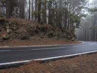 a paved road winds its way through pine and forest area with a winding road sign