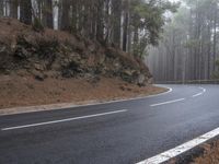 a paved road winds its way through pine and forest area with a winding road sign