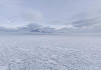 Foggy Ocean Horizon: A Winter Scene