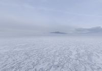 Foggy Ocean Horizon: A Winter Scene