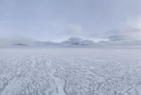 Foggy Ocean Horizon: A Winter Scene