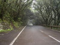 a foggy and wooded road on a rainy day with no cars on it with signs indicating all sides