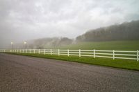 a road that has some green grass by the side of it and fog coming in