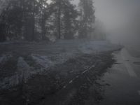 a foggy street has a snowy road and trees on either side of the road