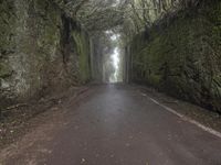 road through the foggy and tree lined walls along the side of the mountain side