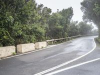 a man rides his bike down an empty road on a rainy day with trees lining either side