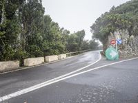 a man rides his bike down an empty road on a rainy day with trees lining either side