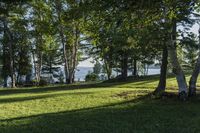 Forest Grove by the Lake: A Nature Park in Canada