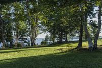 Forest Grove by the Lake: A Nature Park in Canada