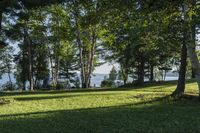 Forest Grove by the Lake: A Nature Park in Canada