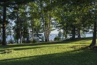 Forest Grove by the Lake: A Nature Park in Canada