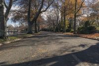 a wide road has a sidewalk along it next to a pond, trees and a few bushes in the middle of the sidewalk