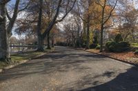 a wide road has a sidewalk along it next to a pond, trees and a few bushes in the middle of the sidewalk