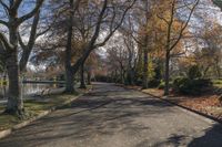 a wide road has a sidewalk along it next to a pond, trees and a few bushes in the middle of the sidewalk