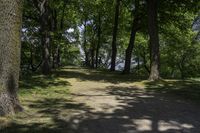 Forest Road in Canada: Dirt and Gravel Surface