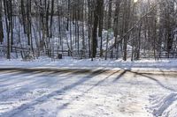 Forest Road in Ontario, Canada