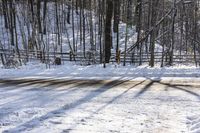 Forest Road in Ontario, Canada