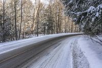 Forest Road in Ontario, Canada on a Gloomy Day