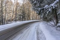 Forest Road in Ontario, Canada on a Gloomy Day 002