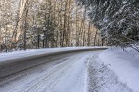 Forest Road in Ontario, Canada on a Gloomy Day