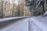 Forest Road in Ontario, Canada on a Gloomy Day