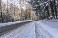 Forest Road in Ontario, Canada on a Gloomy Day