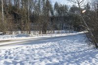 Snow Covered Forest Road in Toronto