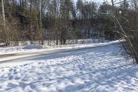 Snow Covered Forest Road in Toronto