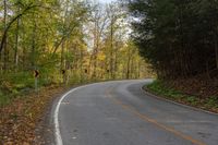 a curve in the middle of an empty road with trees lining both sides and one side in the distance