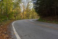 a curve in the middle of an empty road with trees lining both sides and one side in the distance