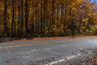 a black fire hydrant sitting on top of a road near lots of trees and yellow leaves