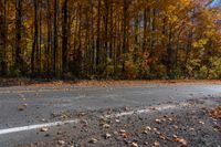 a black fire hydrant sitting on top of a road near lots of trees and yellow leaves