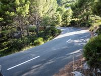 Forest Road Walkway in the Balearic Islands