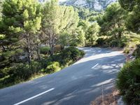 Forest Road Walkway in the Balearic Islands