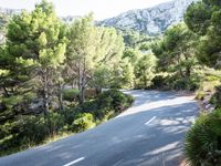 Forest Road Walkway in the Balearic Islands