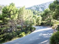 Forest Road Walkway in the Balearic Islands