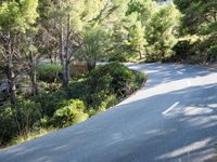 Forest Road Walkway in the Balearic Islands