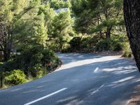 Forest Road Walkway in the Balearic Islands